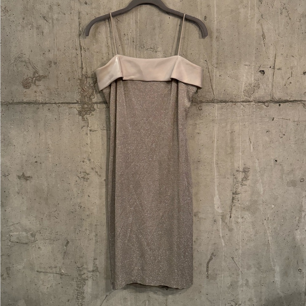 Vintage Silver Dress